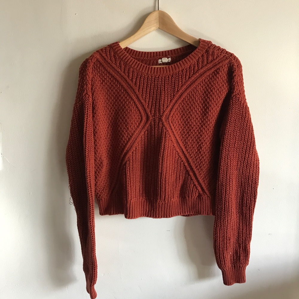 Silence + Noise}• chunky knit cropped sweater